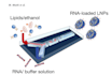 do biomedical engineering research project related to nanotechnology, material