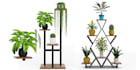 create 3d plants in speedtree