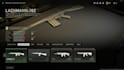 max out your cod weapon level in mw2 in any gun