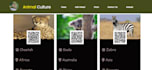 build a website using HTML CSS js python django