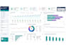 create professional excel dashboards, charts, graphs and templates