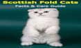 write the perfect animal and pet articles