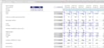 do professional microsoft excel audit