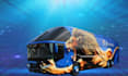 create custom vehicle wrap, cars, van, ,trailer, and bus wrap