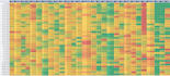 do data analysis and report automation