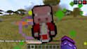make you a mc totem texturepack with your skin