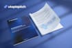 do business plan, brand book, brochure, portfolio design