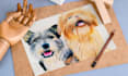 draw realistic animal portrait, dog portrait