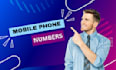 provide targeted email phone number leads