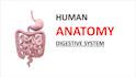 design 3d animated powerpoint presentation