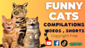 create 1500 funny animals shorts, youtube shorts, shorts videos within 24hr