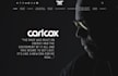 do professional website for artist, dj, influencer and company