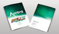design a sell sheet for your business