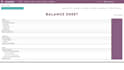 do professional odoo accounting and bookkeeping