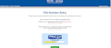do filing of delaware franchise tax annual report and consulting