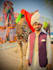 edit professional photo using adobe ps and retouching