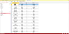 create a custom microsoft access database