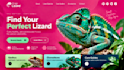 build wordpress website design, redesign wordpress website development