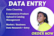be your data entry specialist for data cleaning, business data research
