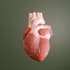 make any 3d medical animation, device animation, modeling, scienstific animation