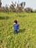 write gardening and landscaping articles based on experience and research