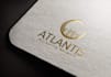 create a professional logo design in 24 hours