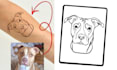 draw custom pet line art portrait for tattoo or print