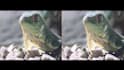 professionally remove noise grain from your videos