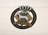 make animals, pet training, and pet farm logo in 1 day