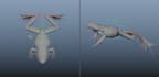 do 3d character rigging in maya