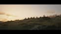 make you professional rdr2 cinematics