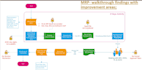 make sop, work instructions, policies and procedures manual