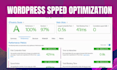 do wordpress SEO on speed optimization in pagespeed and gtmatrix