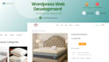 create or customize your professional wordpress website