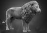 do 3d animal model animal model 3d design 3d animation texturing 3d rigging