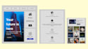 be your web dev using html, CSS, bootstrap, javascript,react