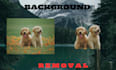 background removal from images, logo design