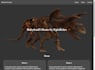 integrate 3d into your website