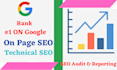 monthly SEO service for your website any platform ranking