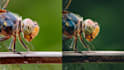 edit and color grade photos in lightroom