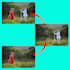 do add and remove persons, unwanted objects, text,