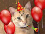 sing a BIRTHDAY Cat Video Greeting original song for you
