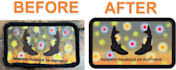 do vector tracing, convert logo or image to vector, and ,dtf