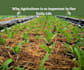 provide production technologies of agricultural farm crops