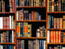 help you in medical and nursing content