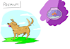 draw your pet in a cute simple style