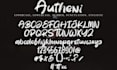 send you 329  premium fonts pack  new