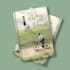 illustrate a professional book cover