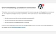 fix wordpress issues, wordpress bug fix, fix wordpress errors