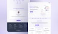 do professional web ui ux and prototype